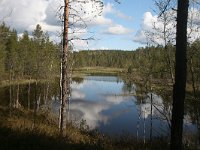 FIN, Oulu, Kuusamo, Oulanka 5, Saxifraga-Dirk Hilbers